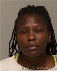 Mugshot of JACKLINE PINE PAUL booked in Anoka County, Minnesota on March 26, 2026