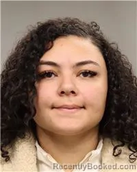 Mugshot of TAYLER ELIZABETH BRINK booked in Anoka County, Minnesota on March 27, 2026