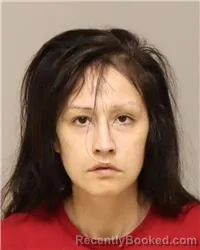 Mugshot of JANELLE GLADYS CAIN booked in Anoka County, Minnesota on March 27, 2026