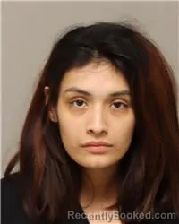 Mugshot of EZMARAI M CASTILLO-PACHECO booked in Anoka County, Minnesota on March 27, 2026