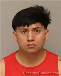 Mugshot of RICHARD ALEXANDER CUNALATA CUNALATA booked in Anoka County, Minnesota on March 27, 2026