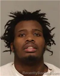 Mugshot of LAVONNE HAKIM GAMBLE booked in Anoka County, Minnesota on March 27, 2026