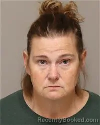 Mugshot of MICHELLE LEE BENSON booked in Anoka County, Minnesota on March 28, 2026