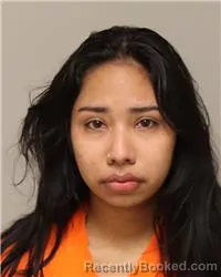 Mugshot of ASHLEY TIZIANA ACOSTA CORTEZ booked in Anoka County, Minnesota on March 29, 2026