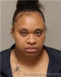 Mugshot of IYANNA ROSE LEE KING booked in Anoka County, Minnesota on March 30, 2026