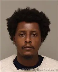 Mugshot of JABRLE HUSSEN ALI booked in Anoka County, Minnesota on March 30, 2026