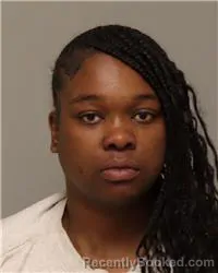 Mugshot of ARIANA MARIE SHAW booked in Anoka County, Minnesota on March 31, 2026