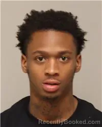 Mugshot of DANYON WJUAN-YE ALLEN booked in Anoka County, Minnesota on March 31, 2026