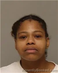 Mugshot of ERICA MONIQUE DESHAW MCCOVINS booked in Anoka County, Minnesota on April 1, 2026