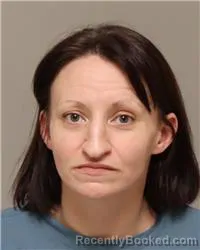 Mugshot of NICOLE JEANINE HIGGINS booked in Anoka County, Minnesota on April 1, 2026