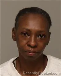 Mugshot of TAMIKA LANETTE ROBINSON booked in Anoka County, Minnesota on April 1, 2026