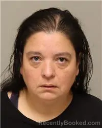 Mugshot of ANN MARIE CAHOON booked in Anoka County, Minnesota on April 2, 2026