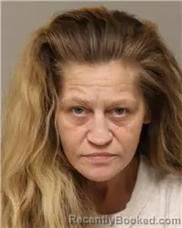 Mugshot of KIERSTEN NICOLE POLIWODA booked in Anoka County, Minnesota on April 2, 2026