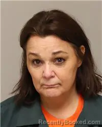 Mugshot of SARA ANN TONN booked in Anoka County, Minnesota on April 2, 2026