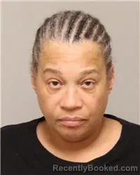 Mugshot of BONITA JULON ODOMS booked in Anoka County, Minnesota on April 3, 2026