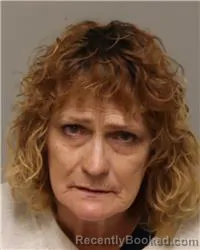 Mugshot of SHIRLIE ANN BARBER booked in Anoka County, Minnesota on April 4, 2026