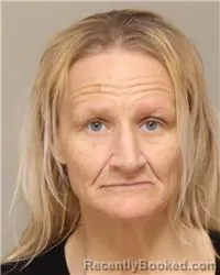 Mugshot of JOY ANGELA PALMER booked in Anoka County, Minnesota on April 4, 2026