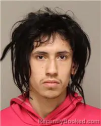 Mugshot of JAYDEN EDWARD HAEFLLIGER booked in Anoka County, Minnesota on April 4, 2026