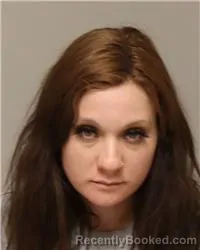 Mugshot of JESSICA ELIZABETH HARRER booked in Anoka County, Minnesota on April 4, 2026