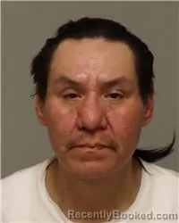 Mugshot of KALVIN DANIEL WHITE BULL booked in Anoka County, Minnesota on April 5, 2026