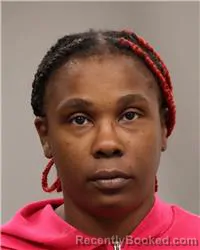 Mugshot of TAYANA MARSHAY HUDSON booked in Anoka County, Minnesota on April 23, 2026