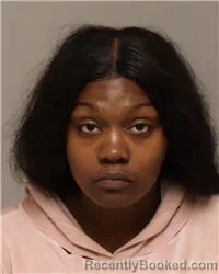 Mugshot of SHAKIRA ALANDRA JAMES booked in Anoka County, Minnesota on April 28, 2026