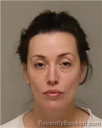 Mugshot of STEVIE CARLEEN VIDENICH booked in Anoka County, Minnesota on April 29, 2026