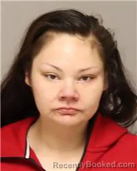 Mugshot of ADONIS MARIE JACKSON-BROWNEAGLE booked in Anoka County, Minnesota on May 1, 2026