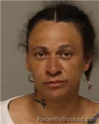 Mugshot of TRINA ANN LEWIS booked in Anoka County, Minnesota on May 4, 2026