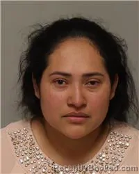 Mugshot of ESMIRNA SALAZAR-ESPINOZA booked in Anoka County, Minnesota on May 4, 2026