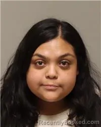 Mugshot of JESSEL LOPEZ-GARCIA booked in Anoka County, Minnesota on May 5, 2026