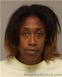 Mugshot of ASHLEY ESTHER PATTERSON booked in Anoka County, Minnesota on May 7, 2026