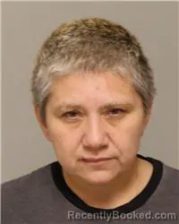 Mugshot of DESHEA EVETT ABELT booked in Anoka County, Minnesota on May 7, 2026