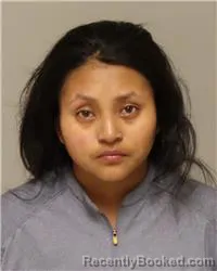Mugshot of JENIFER KATERITE VILLALOUOS booked in Anoka County, Minnesota on May 8, 2026