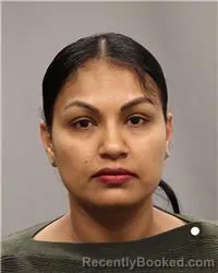 Mugshot of SHELLY SINGH booked in Anoka County, Minnesota on May 8, 2026