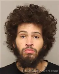 Mugshot of WILLIE JAMES WALLACE booked in Anoka County, Minnesota on May 10, 2026