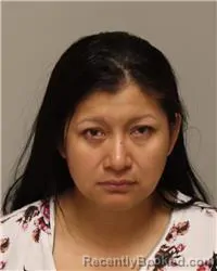Mugshot of CARMELA DEL ROCIO GUAJARE SAANT booked in Anoka County, Minnesota on May 12, 2026