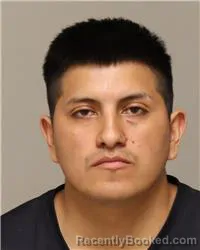 Mugshot of ALEX FERNANDO PEREZ ALVAREZ booked in Anoka County, Minnesota on May 12, 2026