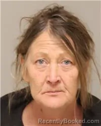 Mugshot of KATHY ANN PAVELKA booked in Anoka County, Minnesota on May 13, 2026