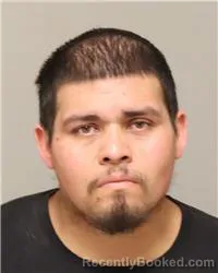 Booking photo from Anoka County, Minnesota