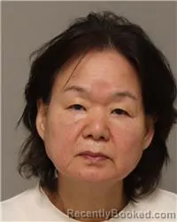 Mugshot of AE SON HAN booked in Anoka County, Minnesota on May 18, 2026