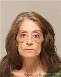 Mugshot of KELLY ANN WILSON booked in Anoka County, Minnesota on May 18, 2026