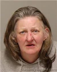 Mugshot of DENISE ANN GONSIOR booked in Anoka County, Minnesota on May 21, 2026