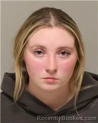 Mugshot of SYDNEE ANNE PFANNENSTEIN booked in Anoka County, Minnesota on May 22, 2026