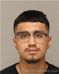 Booking photo from Anoka County, Minnesota