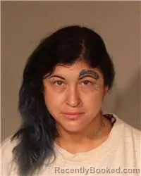 Mugshot of TIANNA NICOLE NELSON booked in Anoka County, Minnesota on June 13, 2026