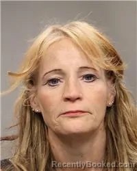 Mugshot of HEIDI MARIE DRURY booked in Anoka County, Minnesota on June 15, 2026