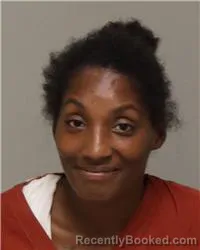 Mugshot of CHELCE BURMA DAVIS booked in Anoka County, Minnesota on June 21, 2026