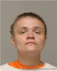 Mugshot of DESIRAE LEE HANSEY booked in Anoka County, Minnesota on June 22, 2026