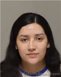 Mugshot of KELISA JEWELS HANKS booked in Anoka County, Minnesota on June 22, 2026